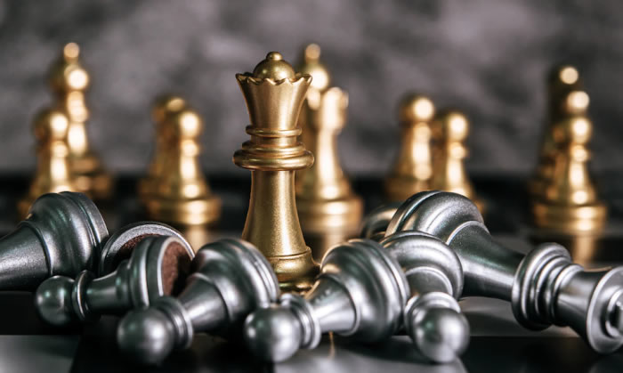 What does playing chess bring to a person?